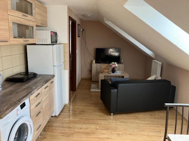 Apartmanovy Dom Slavia Apartment บอยนิตแซ ภายนอก รูปภาพ