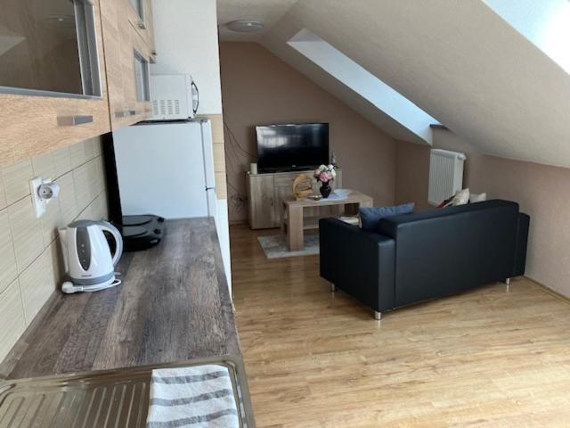 Apartmanovy Dom Slavia Apartment บอยนิตแซ ภายนอก รูปภาพ