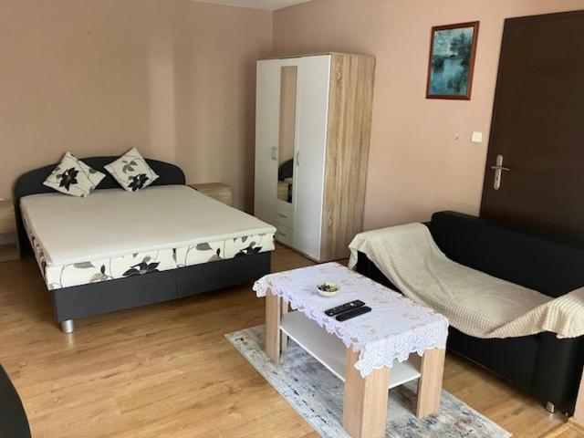 Apartmanovy Dom Slavia Apartment บอยนิตแซ ภายนอก รูปภาพ